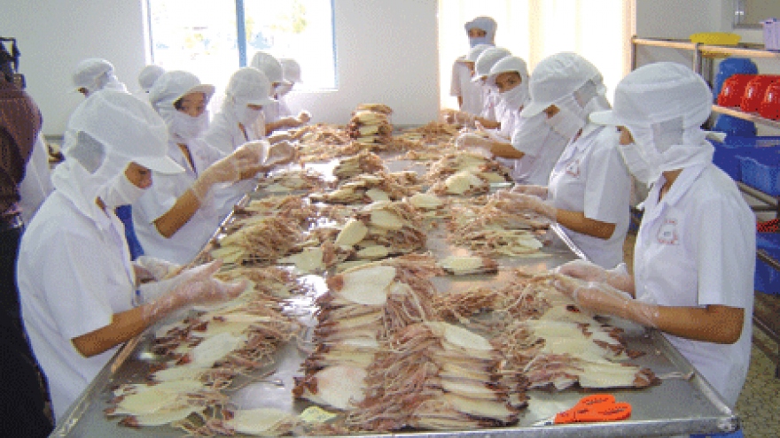 Cuttlefish, octopus exports to ROK up 40.5%