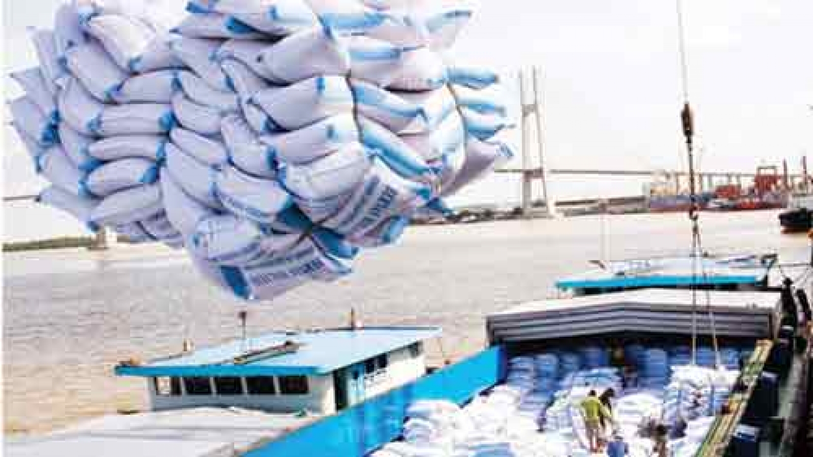 Long-term solutions needed to fix rice industry