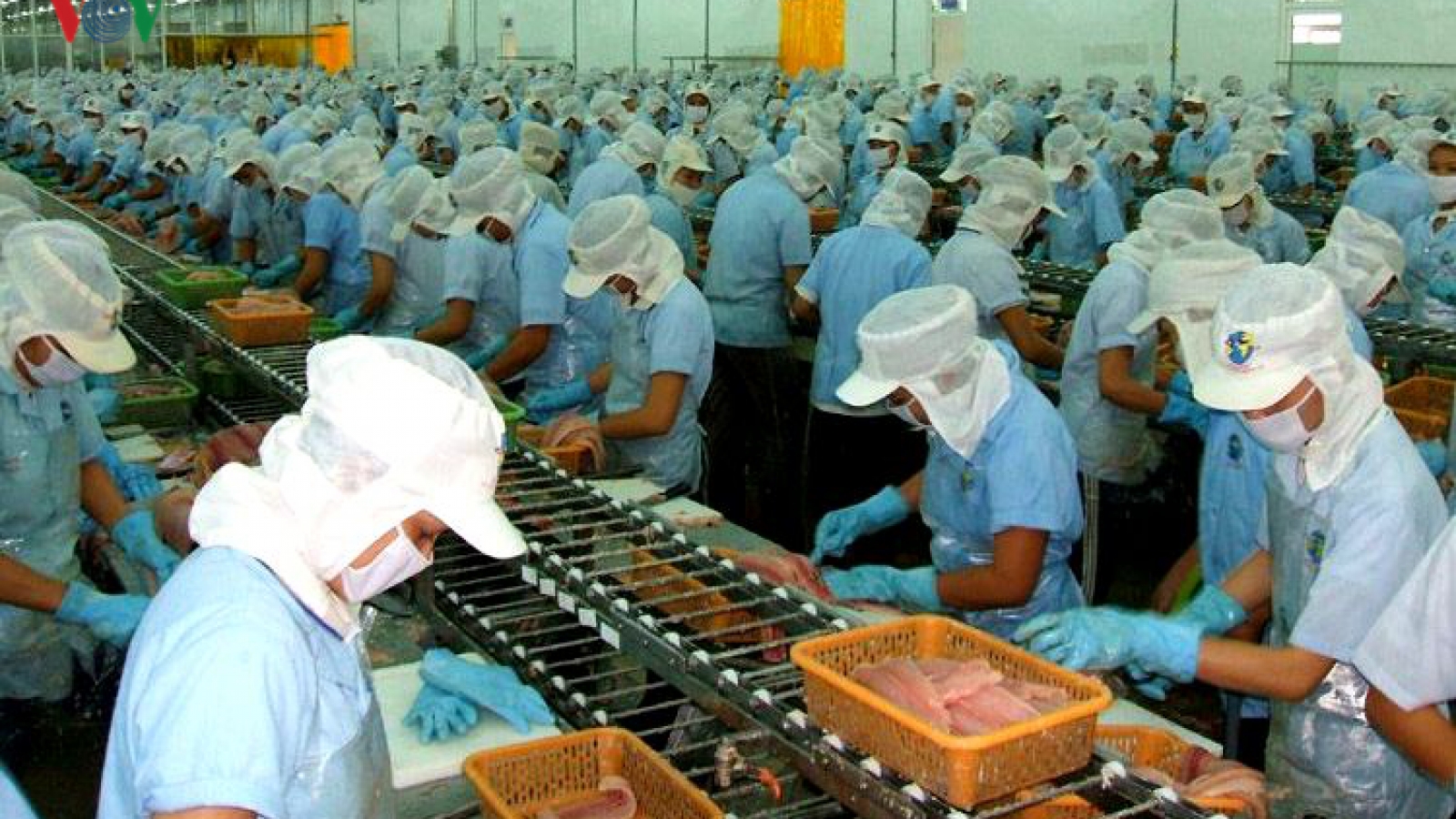 Aquatic exports fall in five-month period