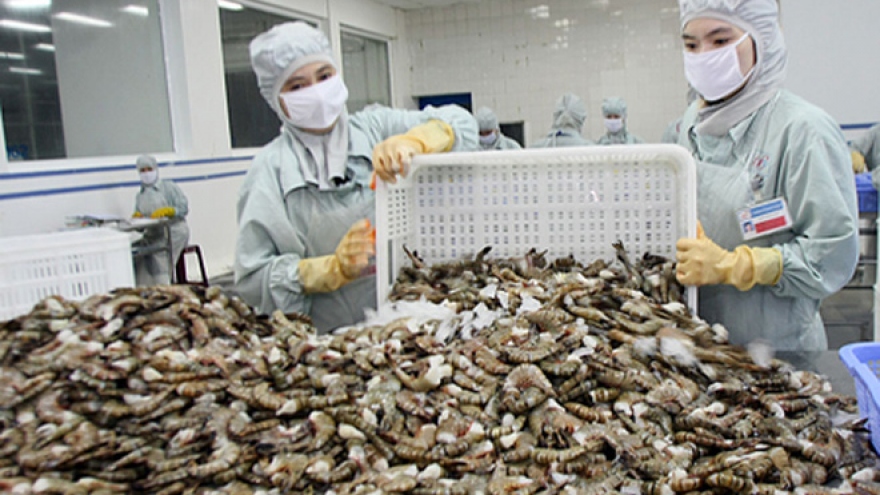 Bottom falls out of US market as Vietnamese shrimp sales plummet