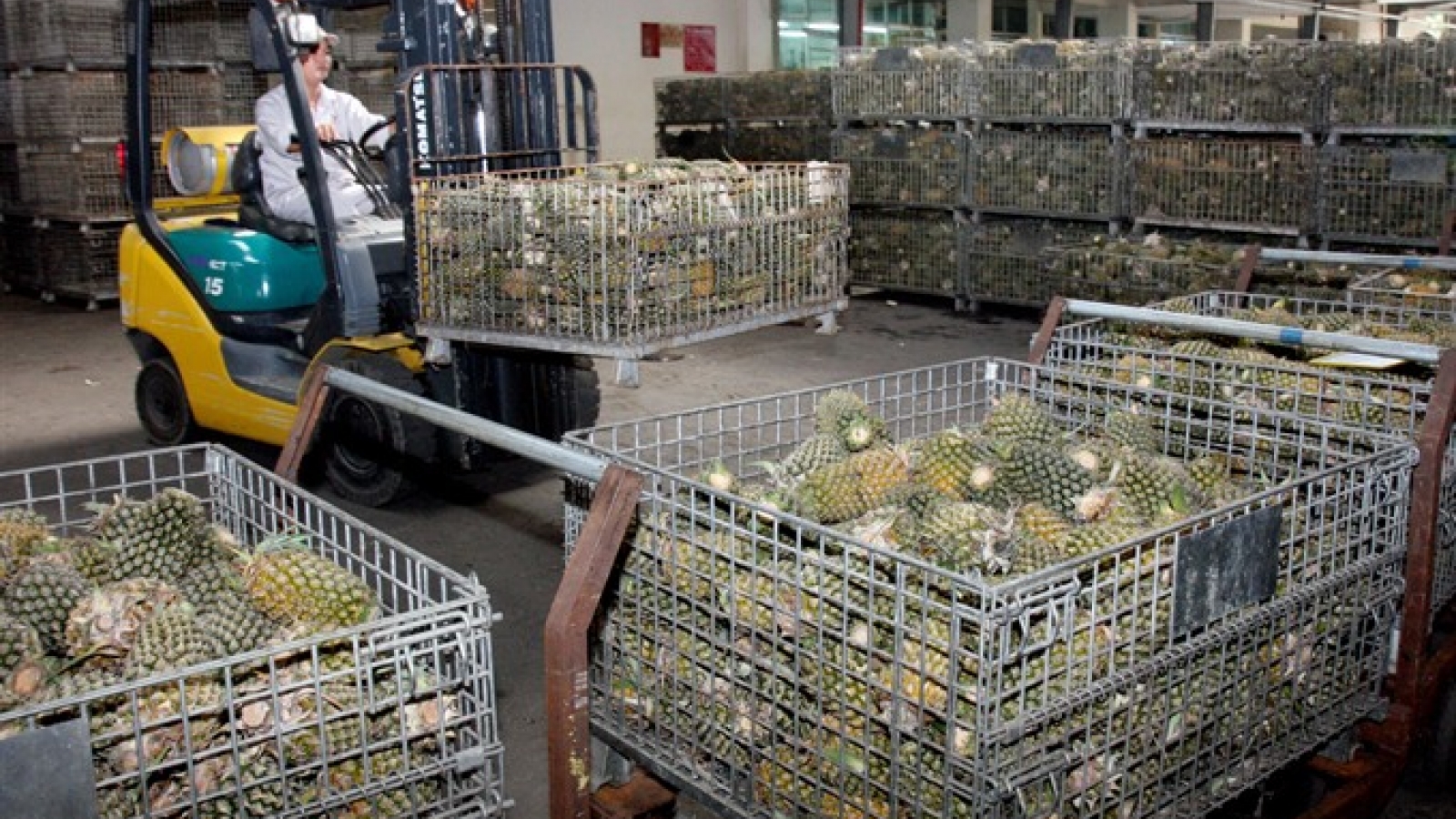 Agriculture sector does well as China buys more fruits and veggies