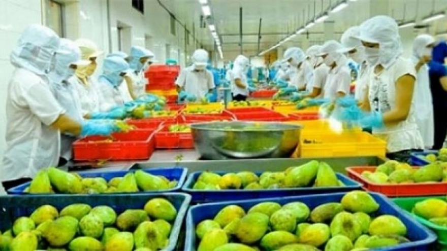 Fruit and vegetable exports decline during first quarter