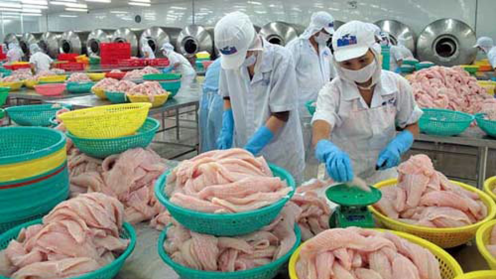 Seafood imports hit US$720 mln 