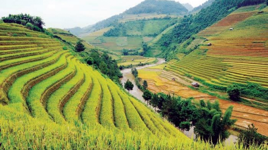 
        Yen Bai Province kick starts Vietnam Tourism Year 2017 
                              