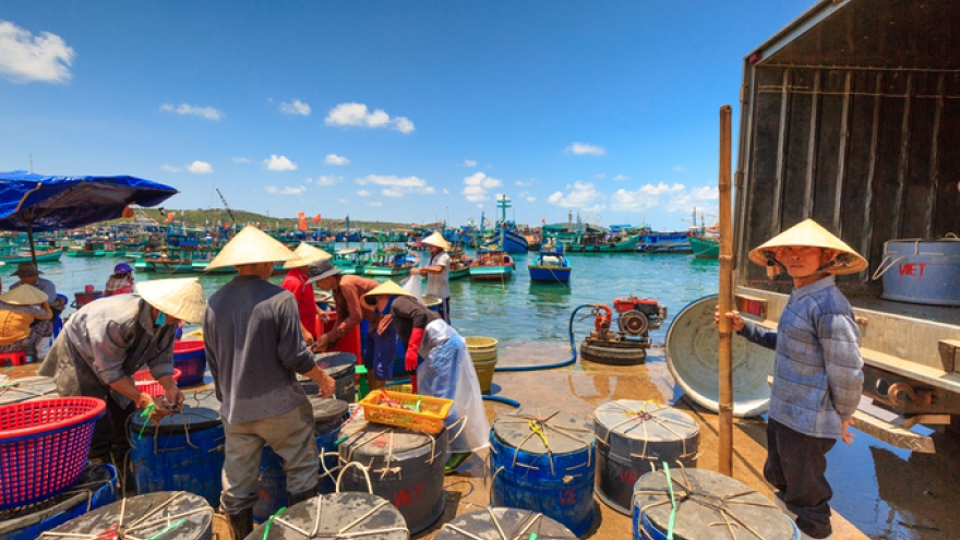 Quality control rule has 5,000 tons of fish stuck at ports
