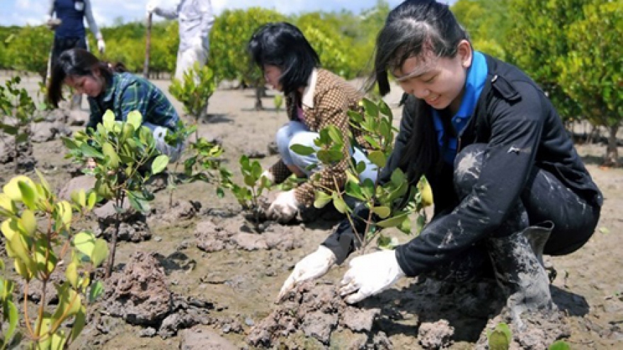 Vietnam to strengthen sustainable forest management