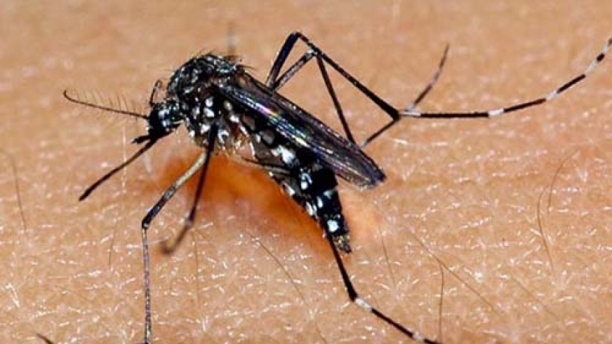 Vietnamese woman in Japan contracts Zika virus