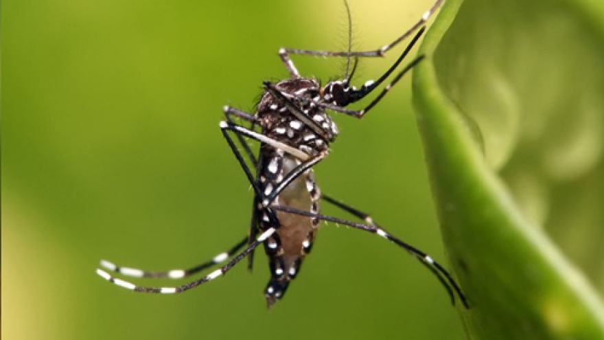 First Zika case detected in Myanmar