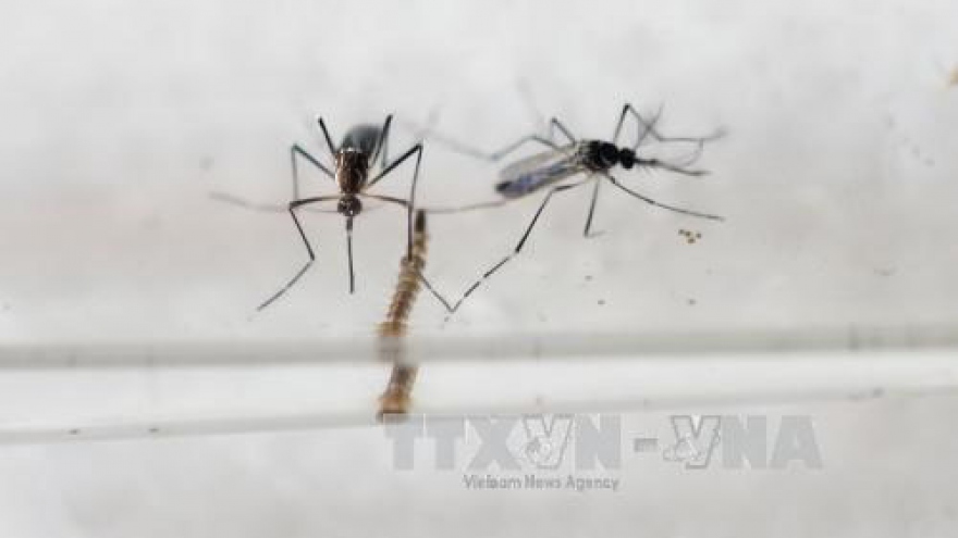 Health Ministry strengthens monitoring on Zika virus