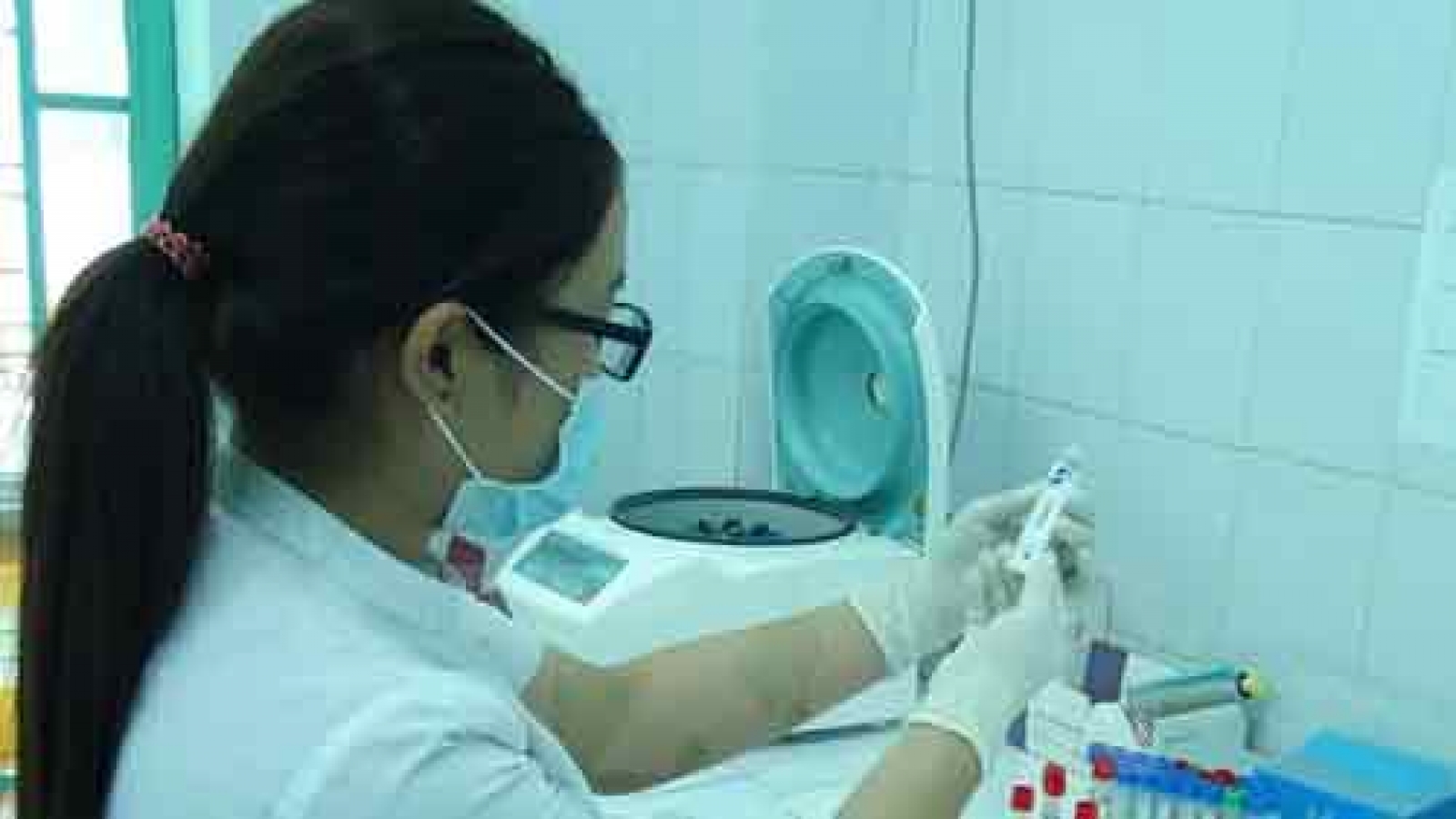 Zika virus has yet to enter Vietnam