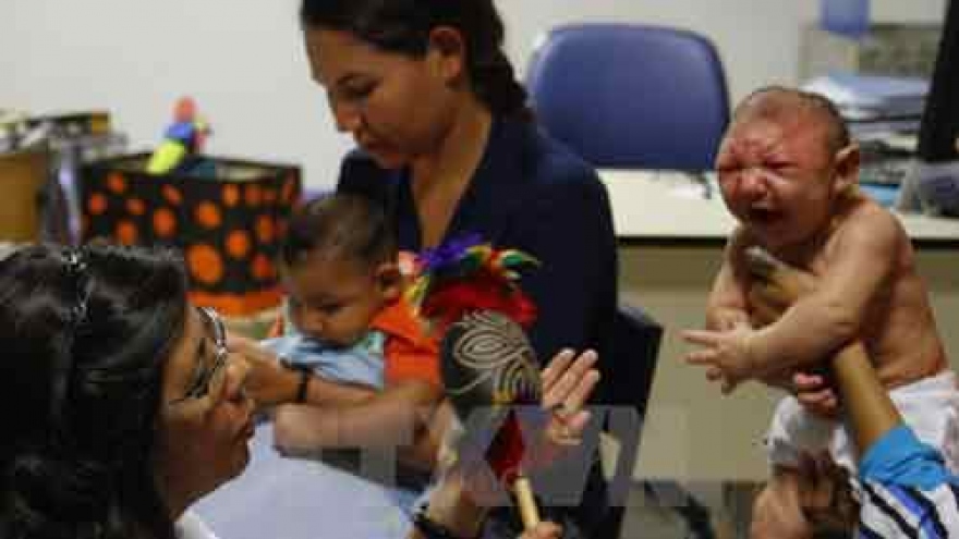 
        Binh Dinh gives Zika training for caring for pregnant women
                              