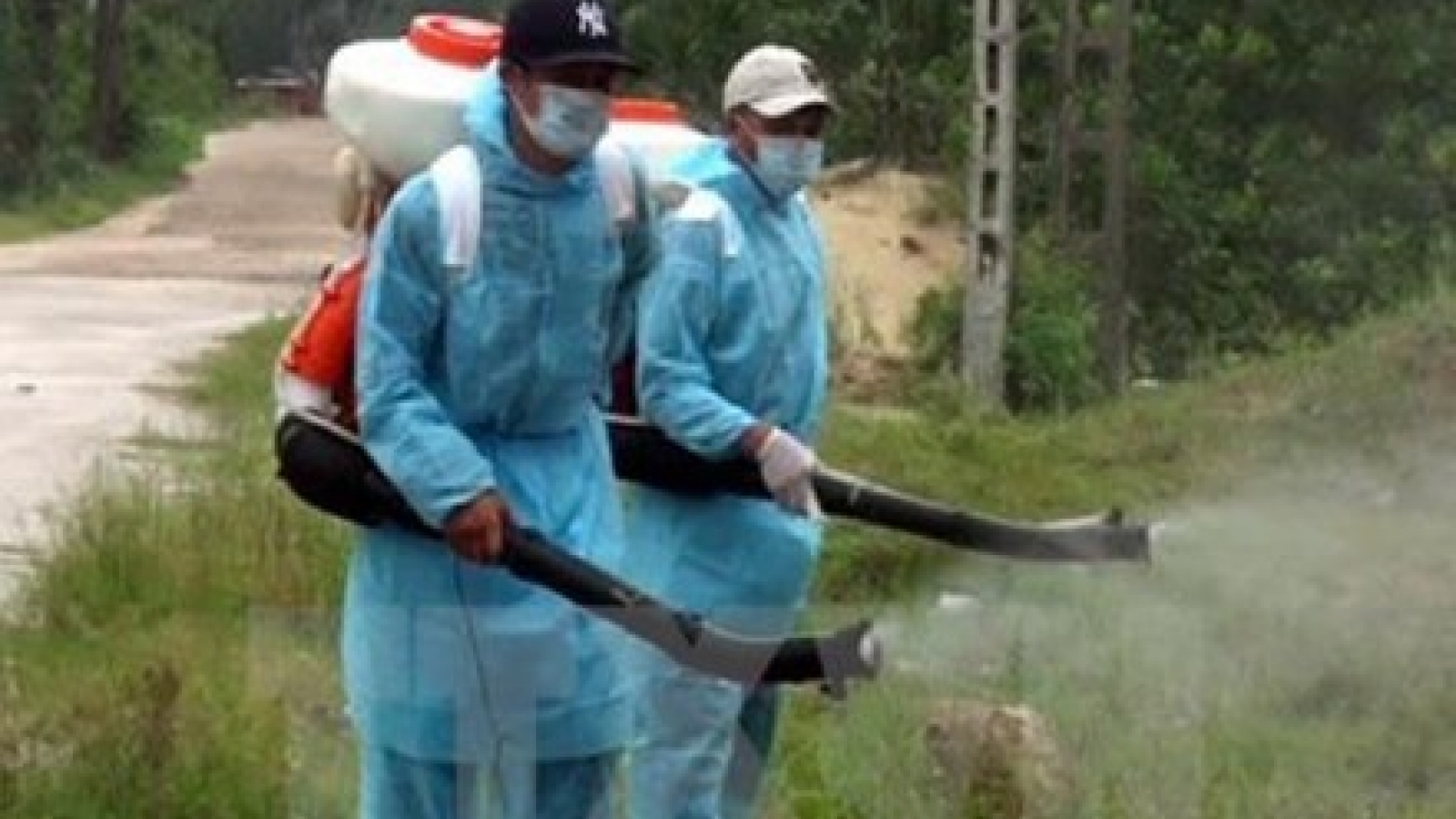 No Zika cases found in Vietnam as of March 18