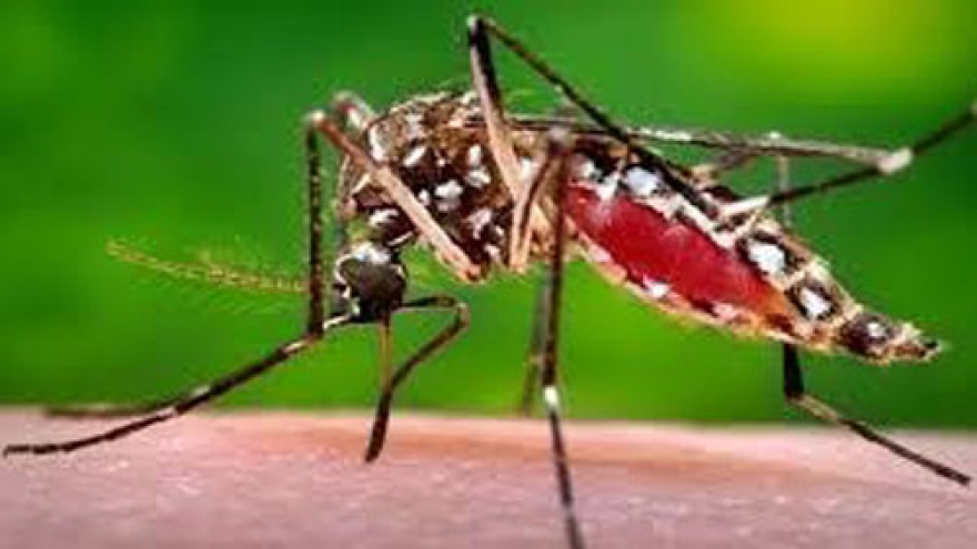 Philippines confirms three new Zika cases