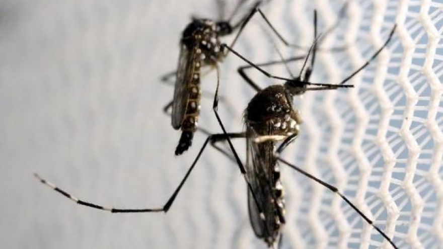 Zika spreads to Miami Beach, U.S. expands travel warning
