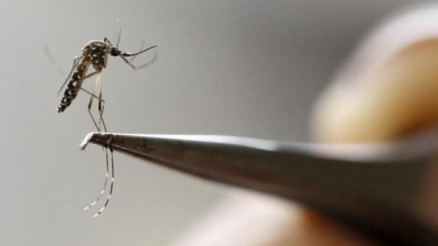New range of serious fetal abnormalities linked to Zika: study