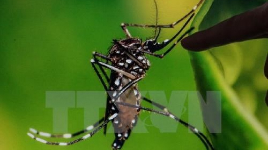 
        US issues Zika travel warning for Southeast Asian countries
                              