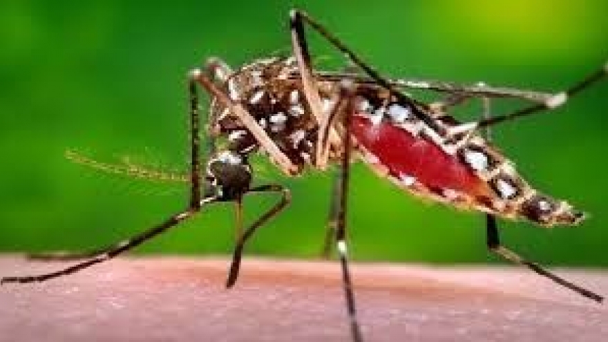 
        Philippines confirms three new Zika cases
                              