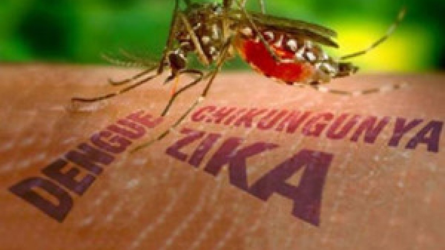 MoH: Zika testing now free for all pregnant women