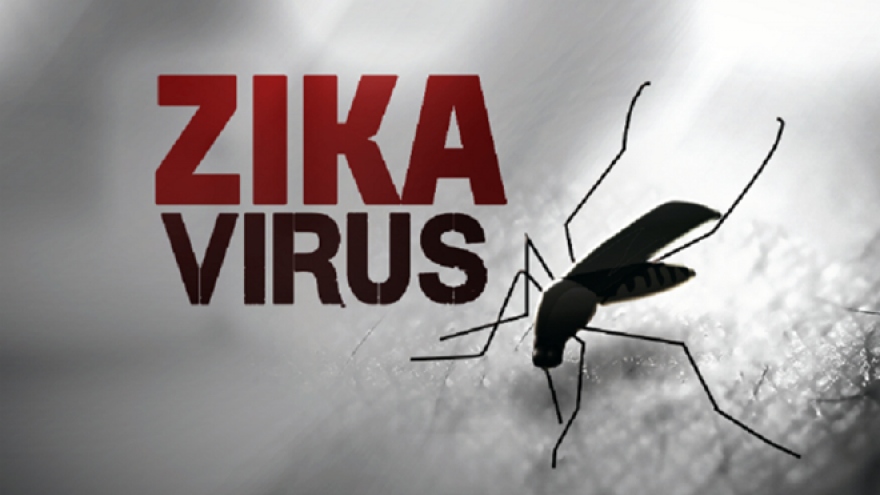 
        ASEAN health ministers join hand to combat Zika
                              