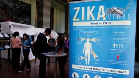 Zika mystery widens as Utah caregiver contracts virus