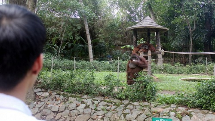 Saigon Zoo to exchange animals with local counterparts