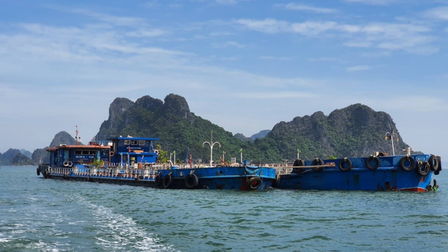Rủi ro khi cho phép tàu lớn chở dầu sang mạn trên khu vực Vịnh Lan Hạ