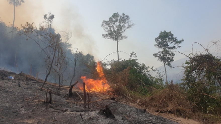 Quảng Nam tuyên truyền để người dân vùng cao không đốt rừng làm rẫy