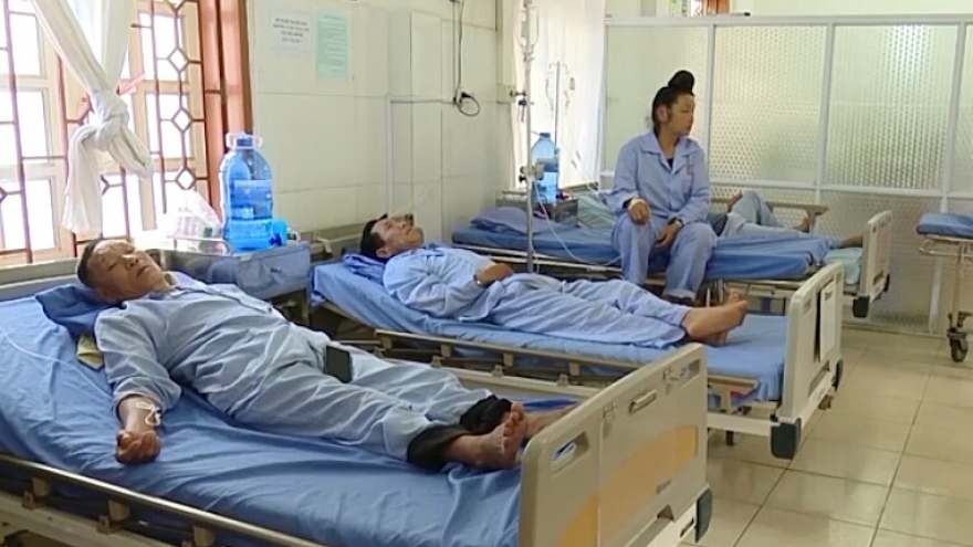 19 người ở Sơn La bị ngộ độc vì ăn bọ xít