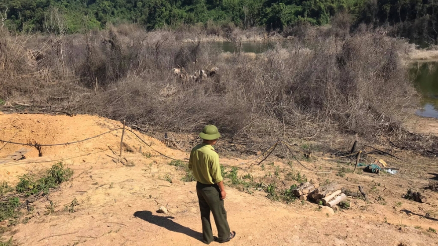 Những cánh rừng ở Hà Tĩnh nguy cơ " bốc hỏa" vì nắng nóng