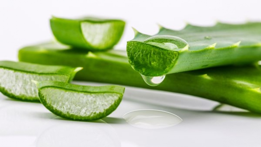 Mẹo chữa bỏng nắng đơn giản tại nhà