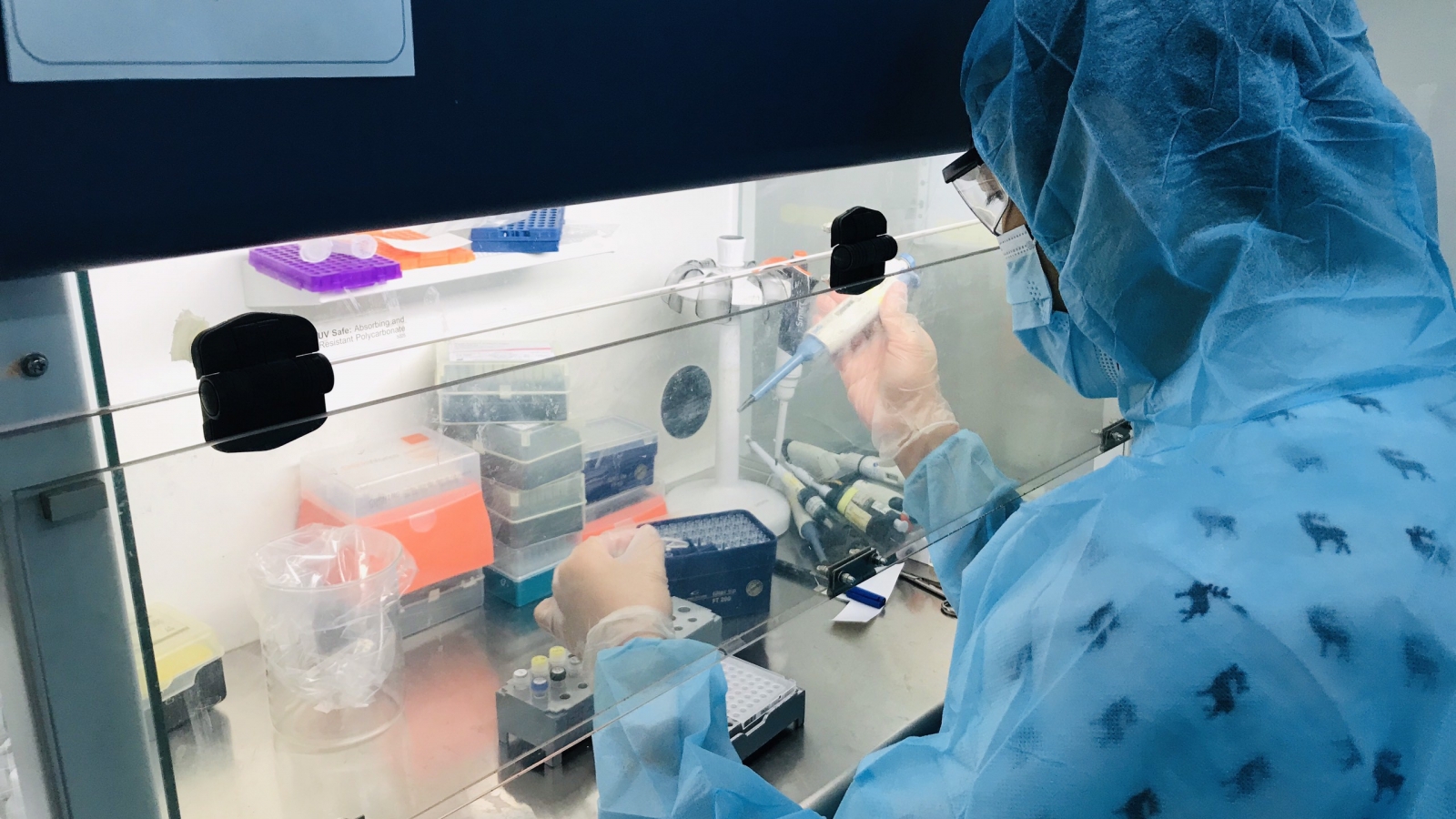 Việt Nam còn 12 bệnh nhân dương tính với virus SARS-CoV-2