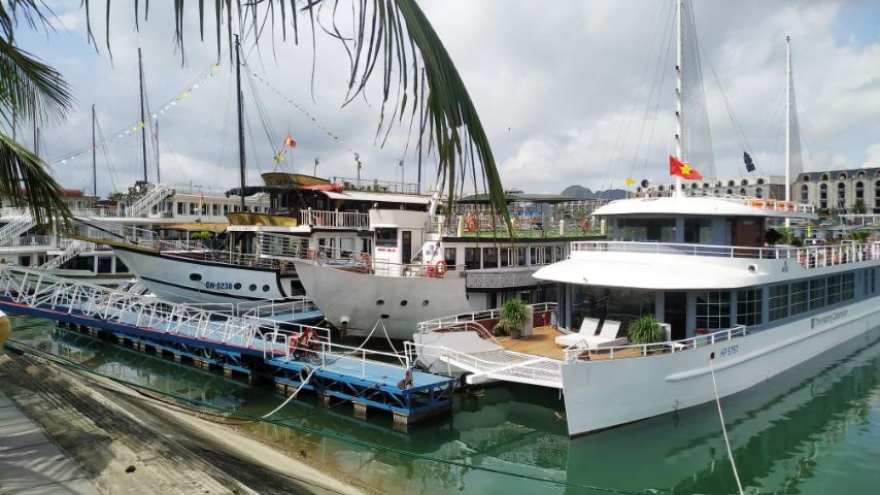 Giảm 50% giá vé nghỉ đêm trên vịnh Hạ Long trong gần 3 tháng