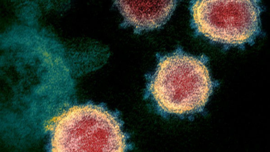 Vì sao truy tìm nguồn gốc virus SARS-CoV-2 giống như “mò kim đáy bể“?