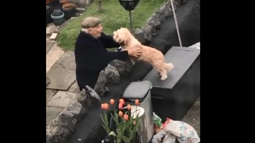 Video: Tình bạn dễ thương giữa chú chó lông xù và ông lão hàng xóm