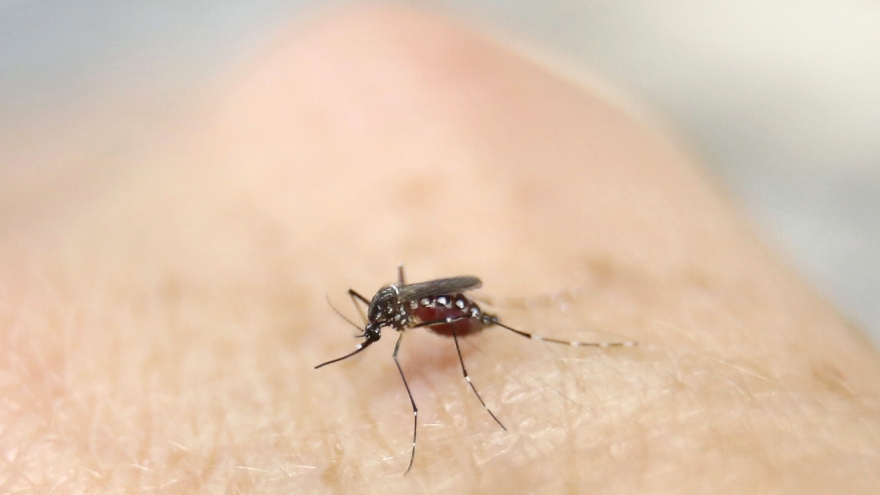 Phát hiện ca bệnh do virus Zika tại Đà Nẵng