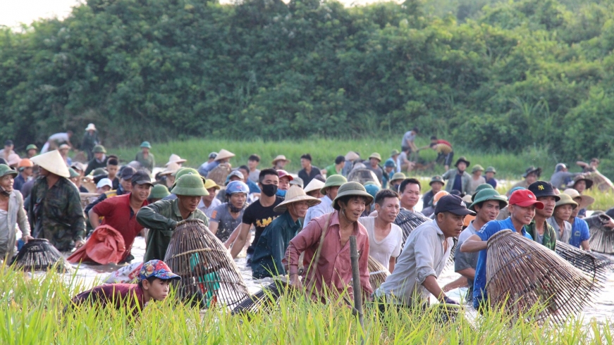 Hàng ngàn người đội nắng bắt cá tại lễ hội độc nhất vô nhị ở Hà Tĩnh