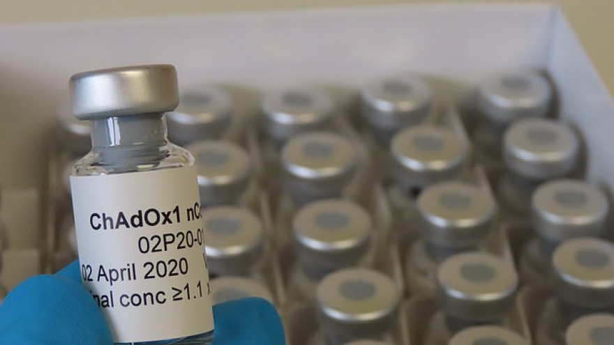 Anh công bố đột phá trong thử nghiệm vaccine Covid-19 trên lợn