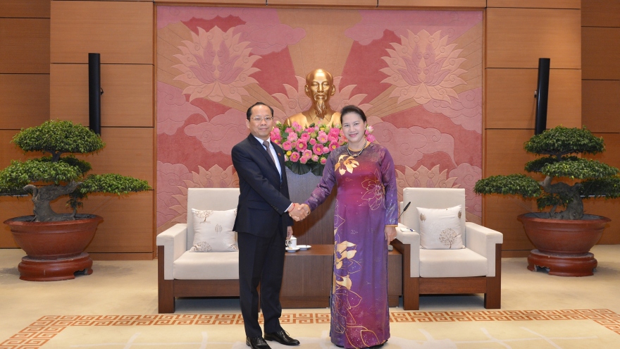 Chủ tịch Quốc hội Nguyễn Thị Kim Ngân tiếp Đại sứ Campuchia