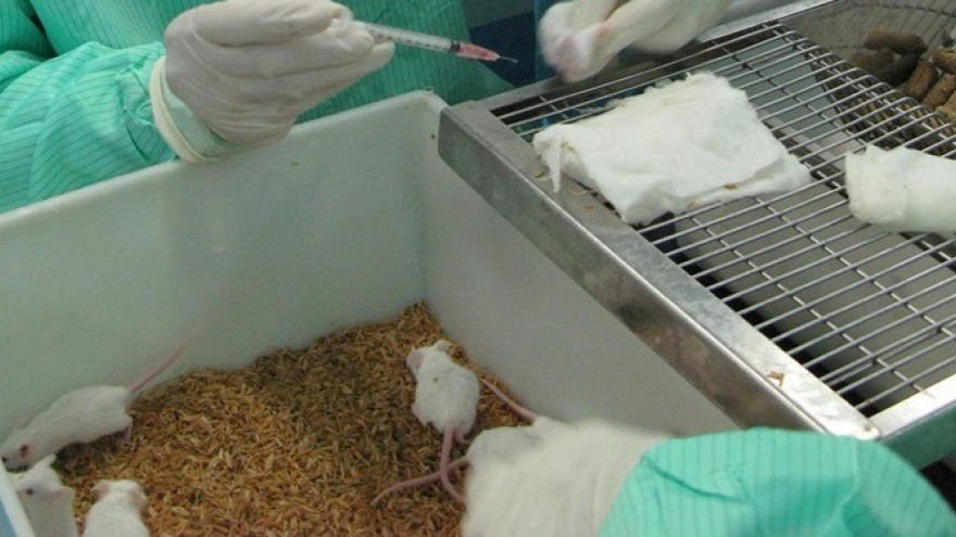 WHO đánh giá cao năng lực nghiên cứu test kit và vaccine của Việt Nam