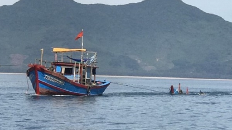 Tàu cá bỏ trốn sau khi đâm chìm ghe câu mực, làm 2 người thương vong