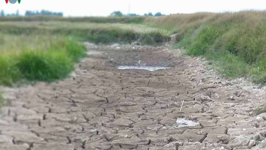 Người dân Nghệ An đối diện đợt hạn hán kỷ lục