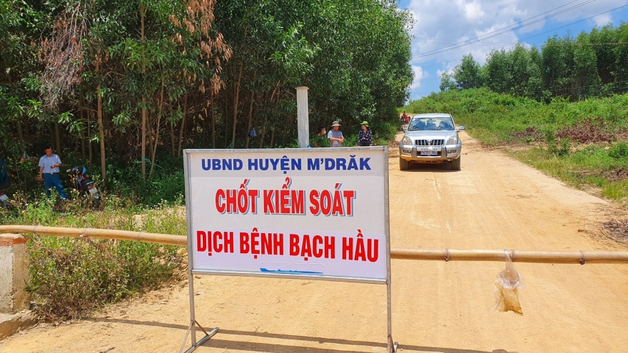 Đắk Lắk phát hiện thêm hai trường hợp mắc bệnh bạch hầu