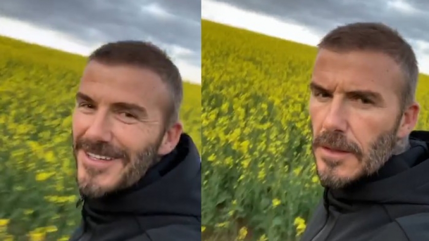 David Beckham tái xuất với diện mạo mới sau khi bị chê “tóc thưa“