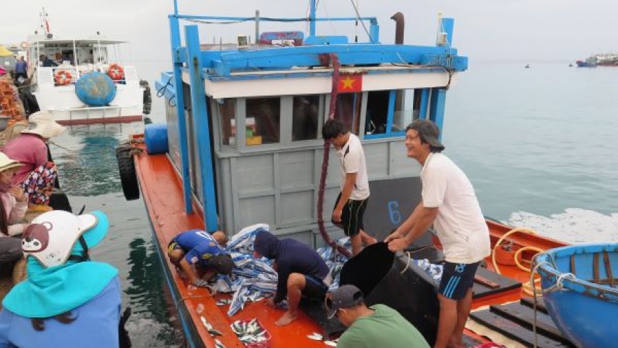 Bất chấp lệnh cấm phi lý của Trung Quốc, ngư dân quyết tâm vươn khơi