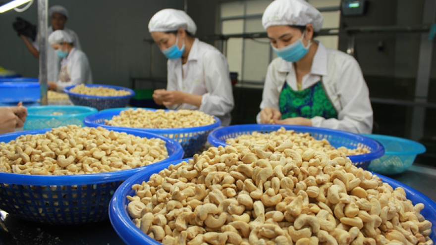4 tháng đầu năm, xuất khẩu hạt điều đạt 960 triệu USD