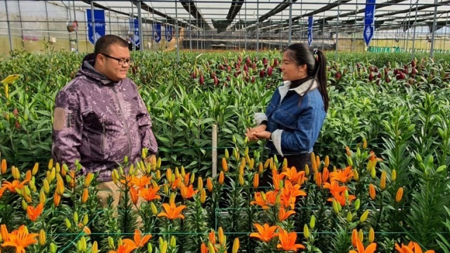 Doanh thu ngành hoa cao nhất trong tất cả các loại cây trồng