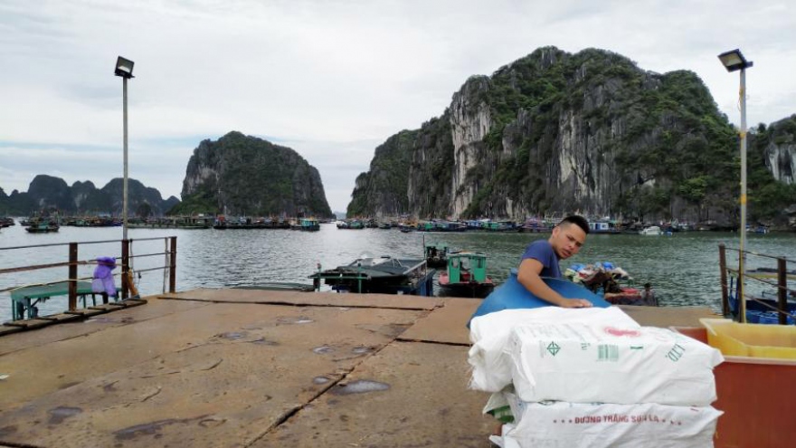 Đánh cá có trách nhiệm để tiến tới gỡ thẻ vàng của EC