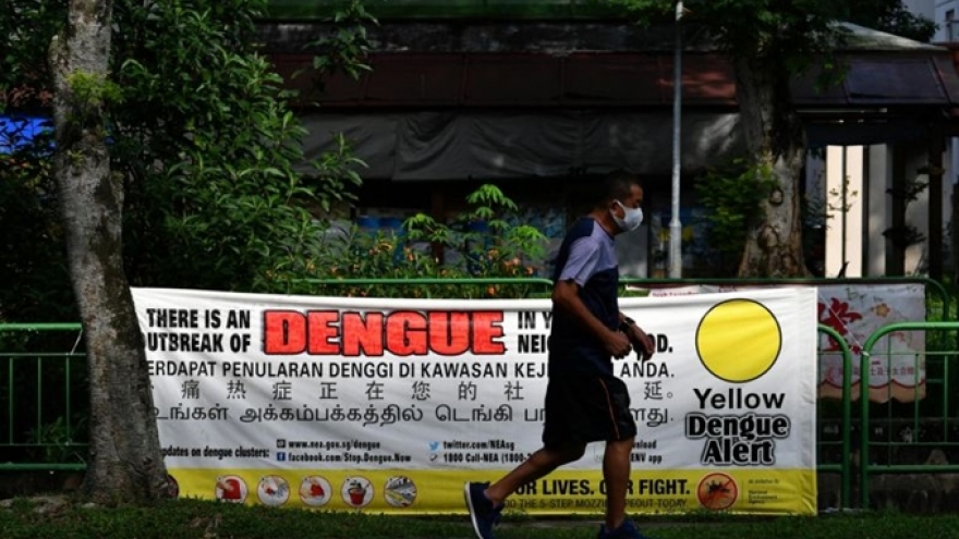 Singapore vượt ngưỡng hơn 14.000 người bị sốt xuất huyết