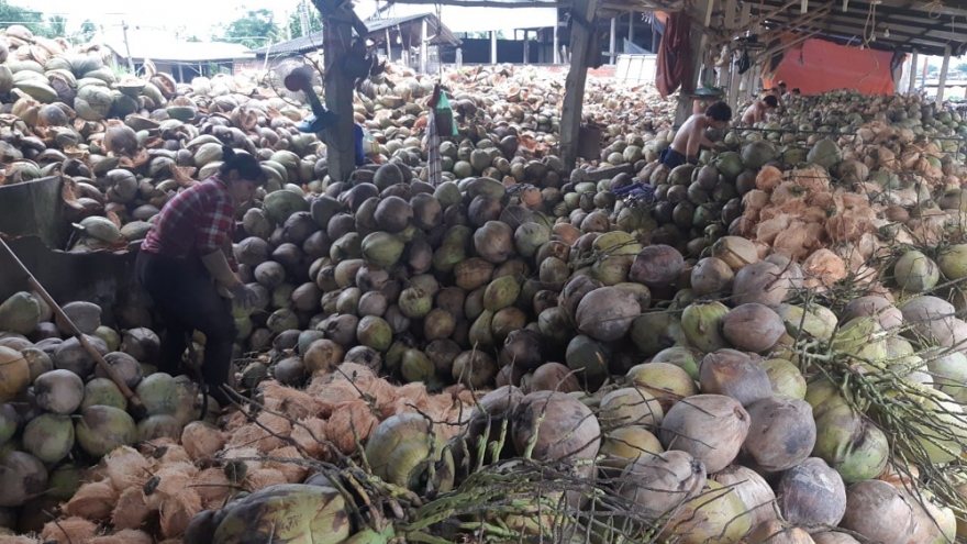 Lần đầu tiên tốc độ tăng trưởng kinh tế của Bến Tre bị âm