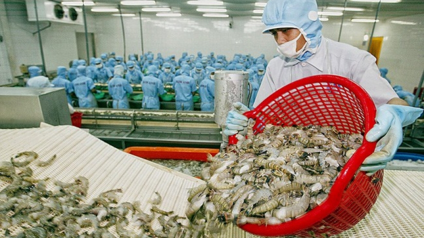 Xuất khẩu tôm sang Mỹ dự báo sẽ tăng khoảng 20% năm 2020